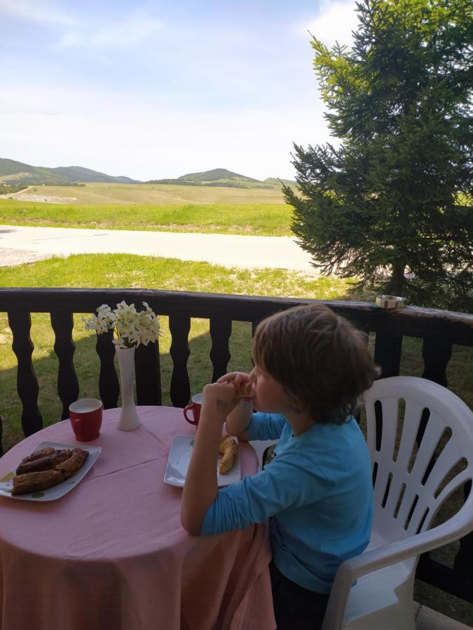 Gledovic 1 * Zlatibor