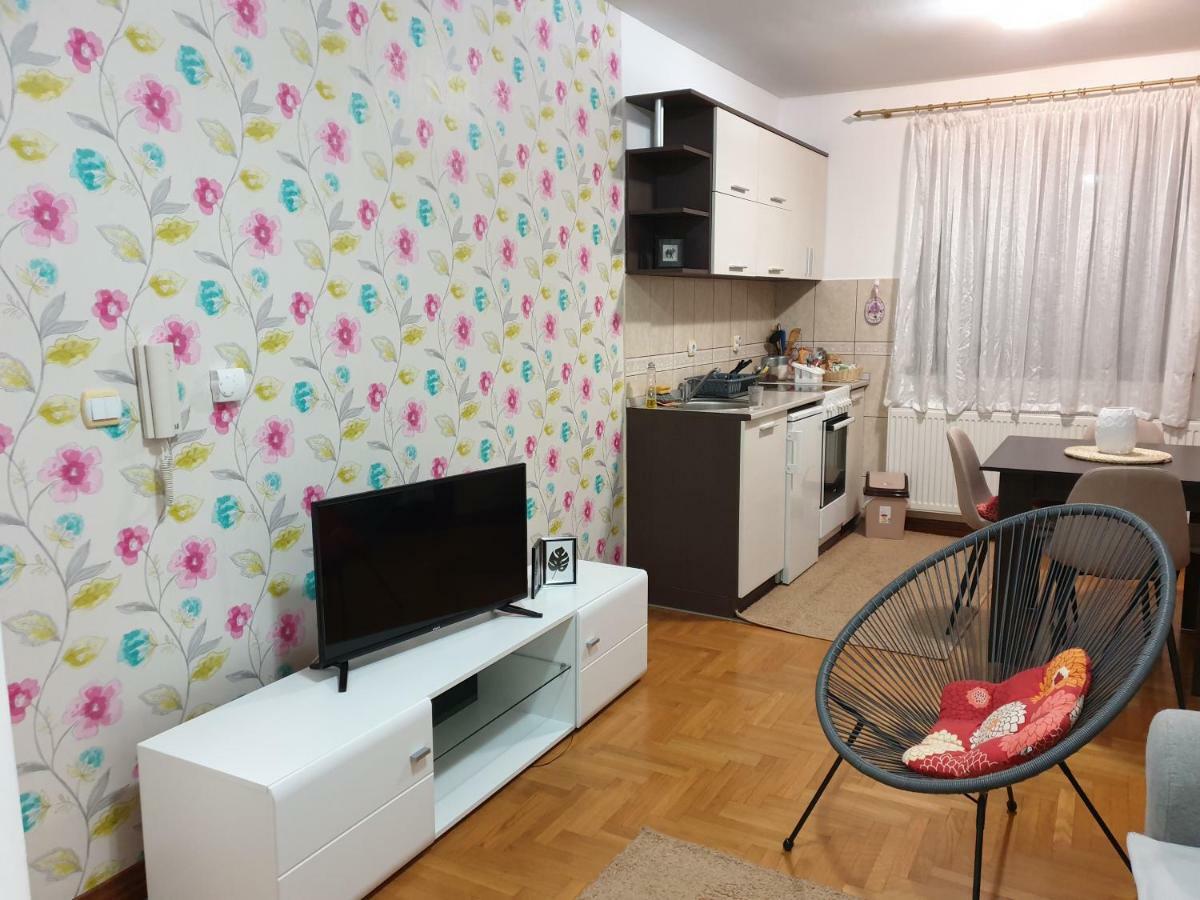 Apartment Gledovic 1 *
