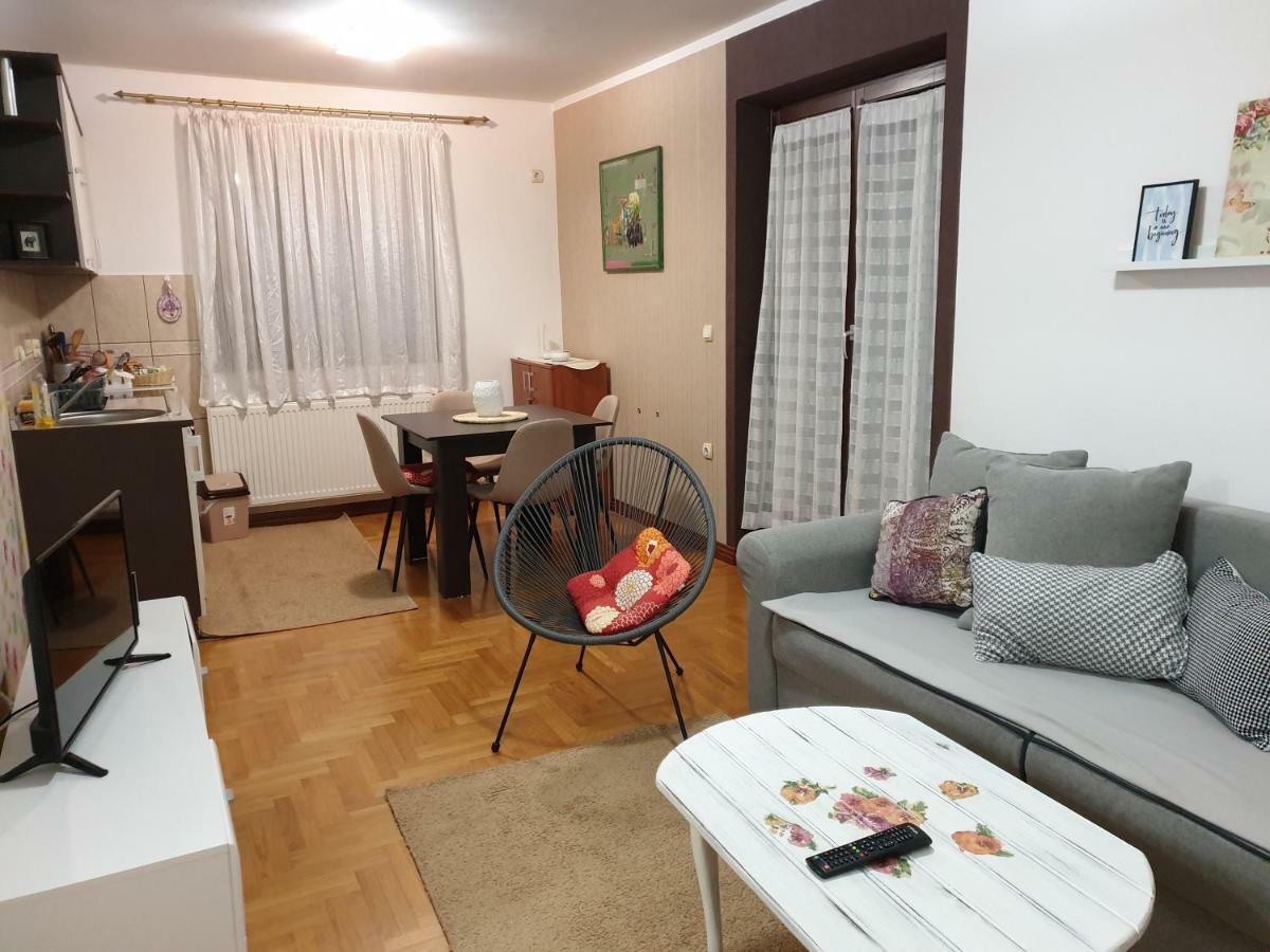 Apartment Gledovic 1
